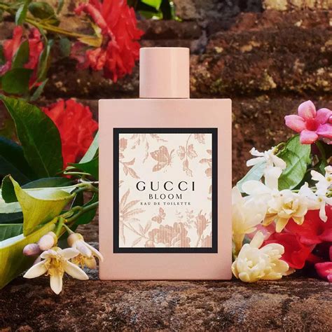 gucci bloom review fragrantica|Gucci Bloom fragrance description.